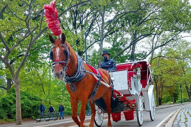 NYC Central Park VIP Horse and Carriage Ride - Frequently Asked Questions
