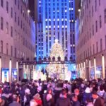 NYC: Christmas Lights Horse Carriage Ride - Who Would Love This Experience?