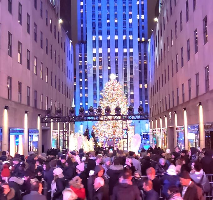 NYC: Christmas Lights Horse Carriage Ride - Who Would Love This Experience?
