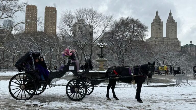 NYC: Empire State Horses Carriage Ride in Central Park - Key Points