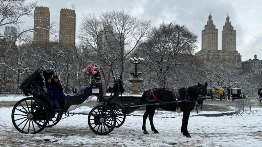 NYC: Empire State Horses Carriage Ride in Central Park - Key Points