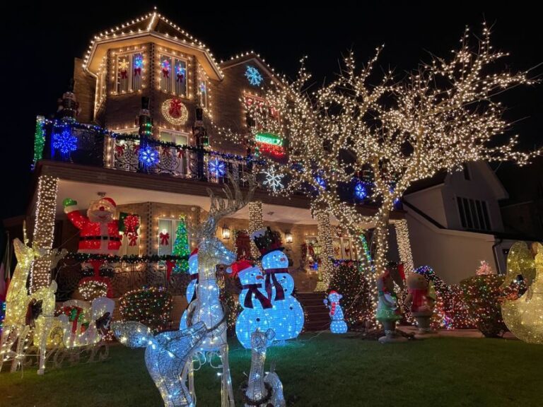 NYC | French guided tour of Christmas in Brooklyn - An In-Depth Look at the Tour Experience