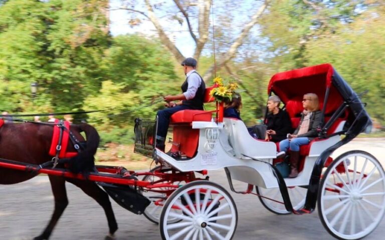 NYC: Guided Standard Central Park Carriage Ride (4 Adults) - Who Is This Tour Best For?
