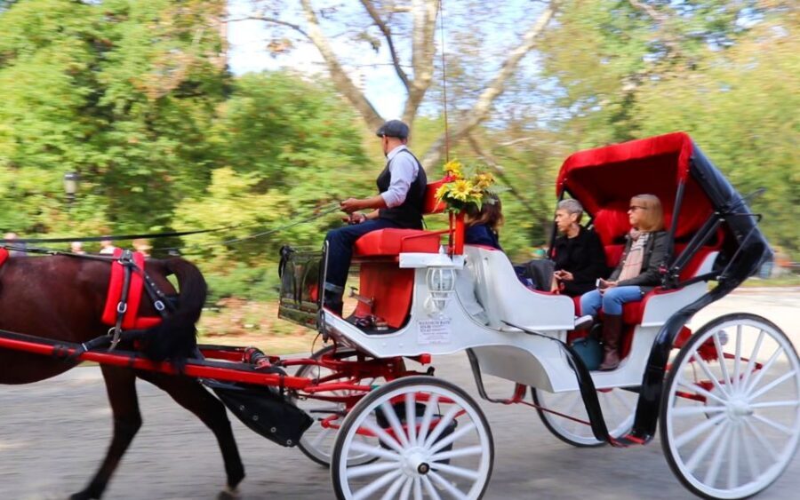 NYC: Guided Standard Central Park Carriage Ride (4 Adults) - Who Is This Tour Best For?