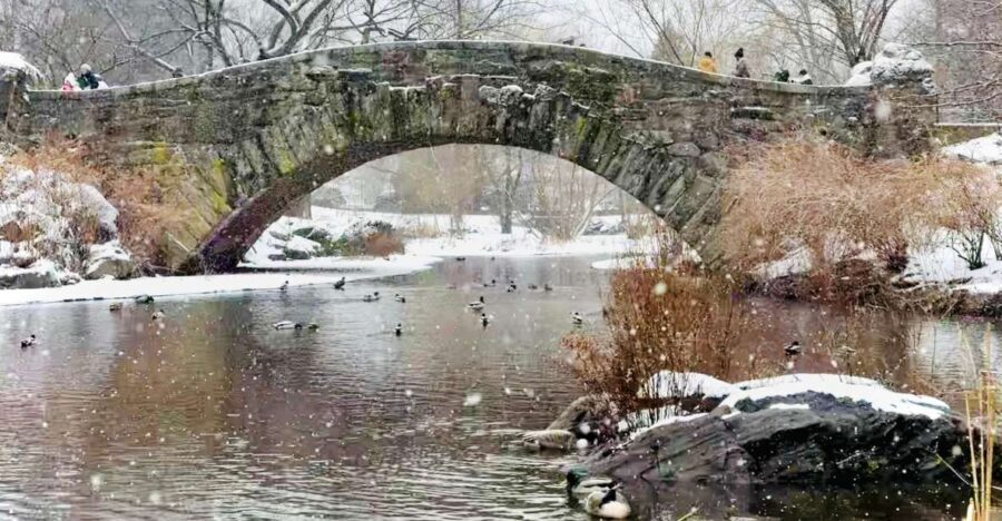 NYC: Home Alone 2 and Elf Tour in Central Park - Is It Worth the Price?