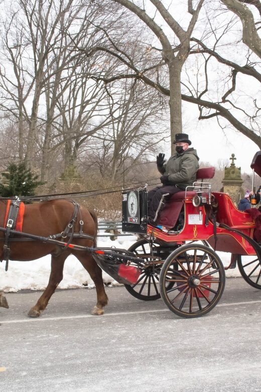 NYC Horse Carriage Ride in Central Park (65 min) - Practical Details and Considerations