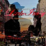 NYC: Little Italy Mafia History Walking Tour - Introduction