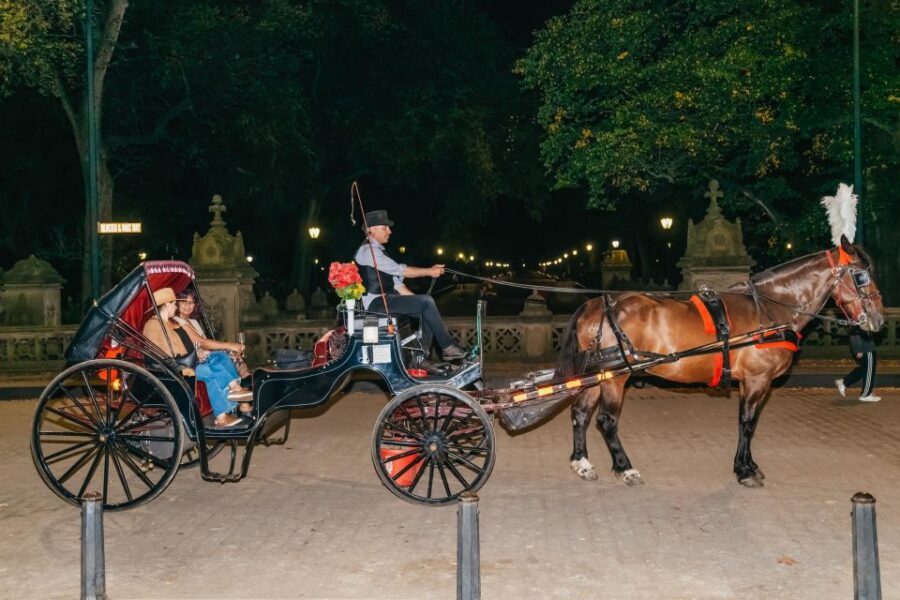 NYC MOONLIGHT HORSE CARRIAGE RIDE through Central Park - What Reviewers Say