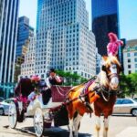 NYC Private Central Park Horse Carriage Ride with Guide - The Itinerary Breakdown