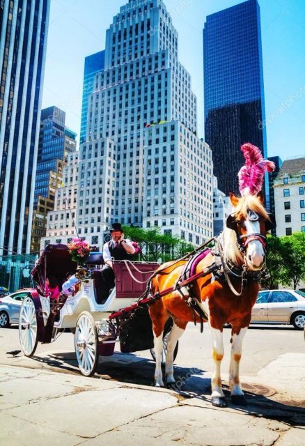 NYC Private Central Park Horse Carriage Ride with Guide - The Itinerary Breakdown