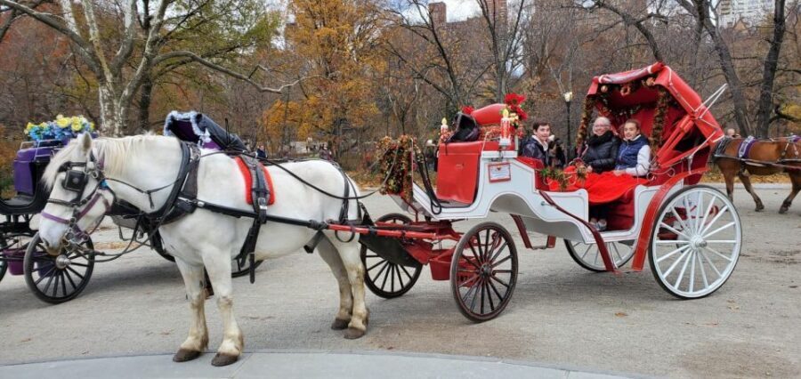 NYC: Private Christmas Lights Horse Carriage Ride - Final Thoughts