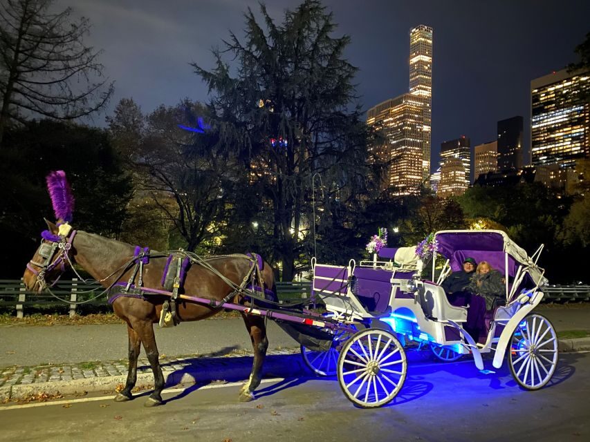 NYC: Private Christmas Lights Horse Carriage Ride - What to Expect from the Ride