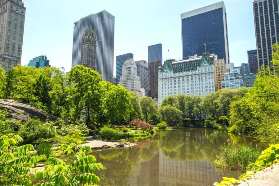 NYC: Private Tour Secrets of Central Park - Authentic Insights from Past Participants