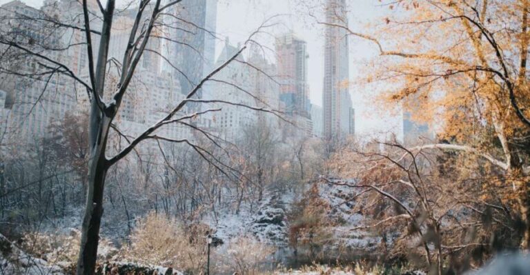 NYC Private Walking Tour with Professional Guide - A Deep Dive into the Experience