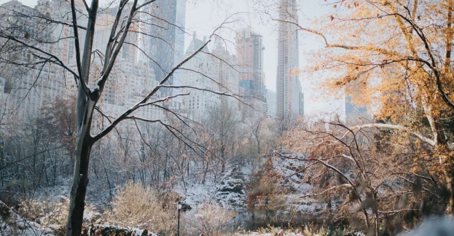 NYC Private Walking Tour with Professional Guide - A Deep Dive into the Experience