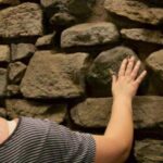 NYC: Remnants of Dutch New Amsterdam Guided Walking Tour - What You Can Expect from the Tour