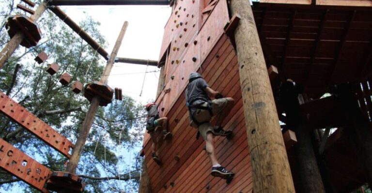 Oahu: Aerial Adventure, Climbing, & Freefall Experience - Final Thoughts