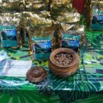 Oahu: Beauty and the Feast Circle Island Experience - Transportation and Group Experience