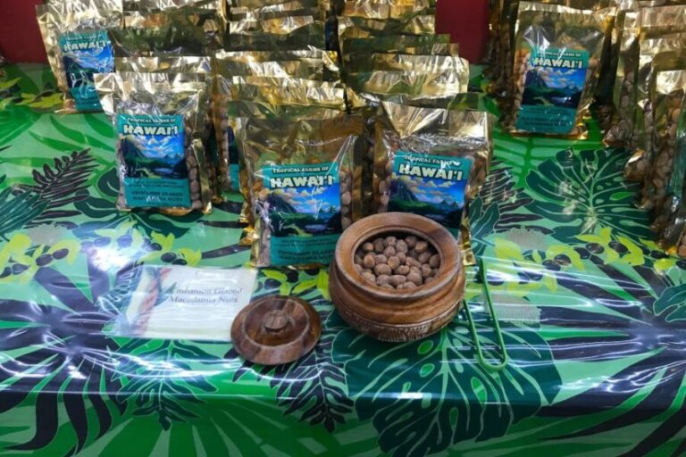 Oahu: Beauty and the Feast Circle Island Experience - Transportation and Group Experience