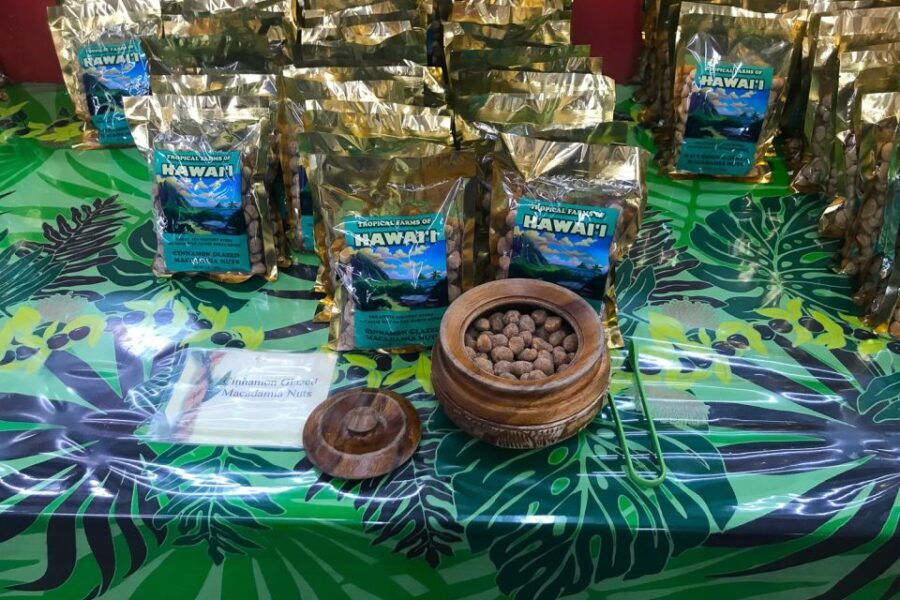 Oahu: Beauty and the Feast Circle Island Experience - Transportation and Group Experience