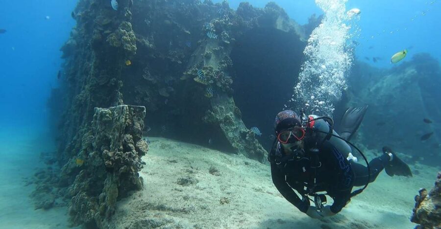 Oahu: Beginner SCUBA Dive at Electric Beach - What Makes This Experience Stand Out?