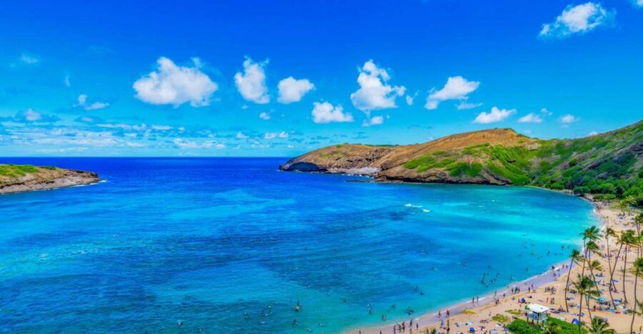 Oahu: Circle Island Top Sights Full-Day Tour w/ Local Guide - Authentic Insights from Travelers
