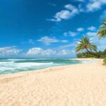 Oahu: Guided Tour of North Shore and Waimea Botanical Garden - Exploring the North Shore’s Famous Beaches