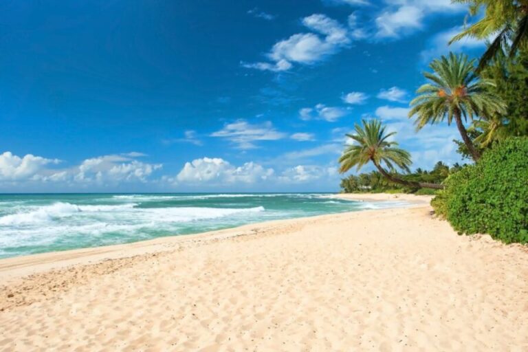 Oahu: Guided Tour of North Shore and Waimea Botanical Garden - Exploring the North Shore’s Famous Beaches