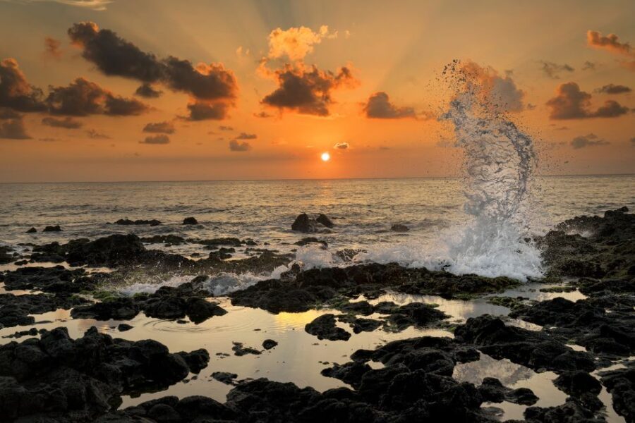 Oahu: Half-Day Sunrise Semi-private Tour from Waikiki - Who Should Book This Tour?