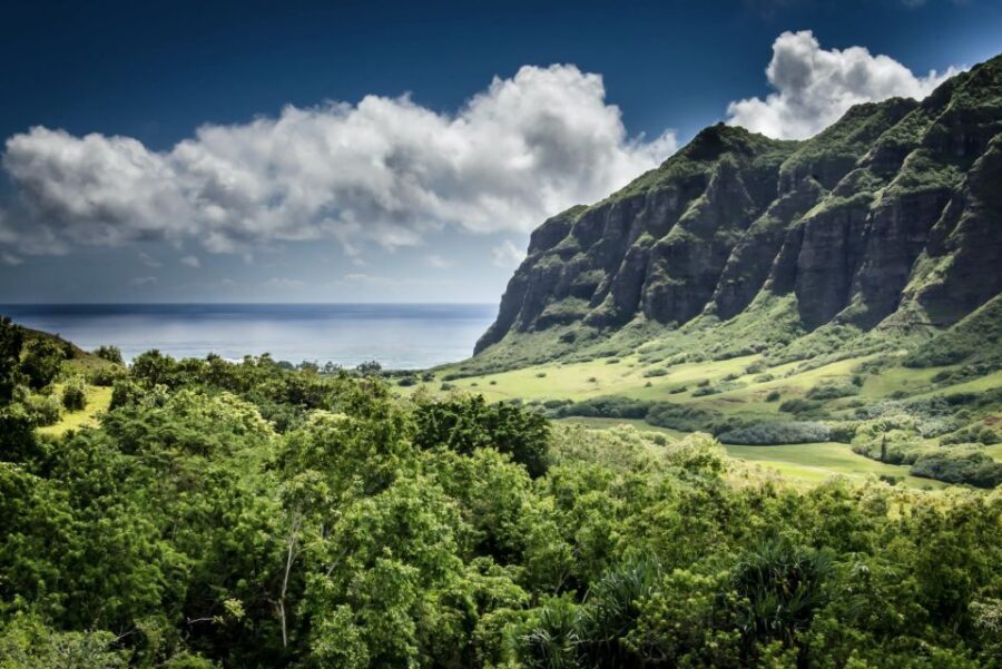Oahu Hidden Gems & Waimea Botanical Garden/Waterfall tour - What’s Included & What to Expect
