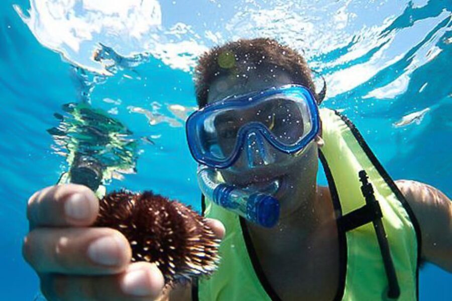 Oahu: Hilton Hawaiian Village Snorkel Tour - The Experience Breakdown