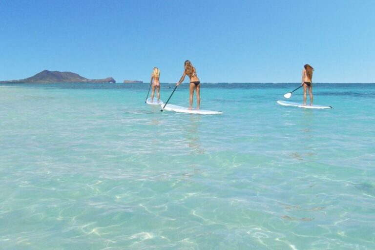 Oahu: Kailua Stand Up Paddle Board Lesson - Experience Overview: What You Can Expect