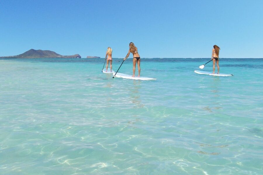 Oahu: Kailua Stand Up Paddle Board Lesson - Experience Overview: What You Can Expect
