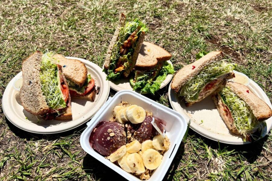 Oahu: Manoa Falls Waterfall Hike with Lunch and Transfers - Authentic Insights from Real Travelers