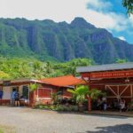 Oahu: North Shore & Dole Plantation Island Discover Tour - What’s Included and How It Matters