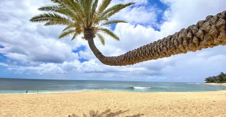 Oahu: North Shore Experience and Dole Plantation - Why This Tour Works Well