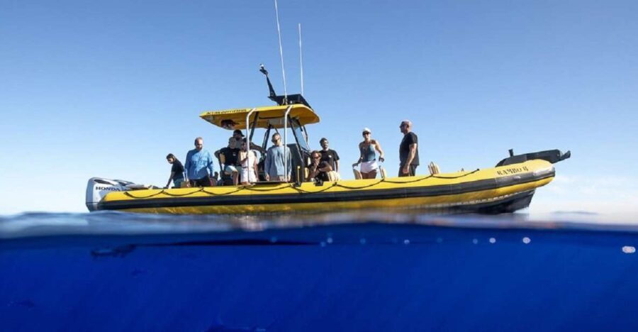 Oahu: North Shore Marine Life Tour from Haleiwa - The Practicalities: Booking, Meeting, and Duration