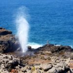 Oahu: Oahu Ultimate Grand Circle Island Tour - The Guides and the Experience