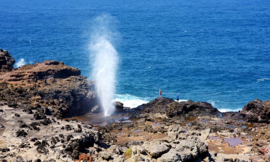 Oahu: Oahu Ultimate Grand Circle Island Tour - The Guides and the Experience
