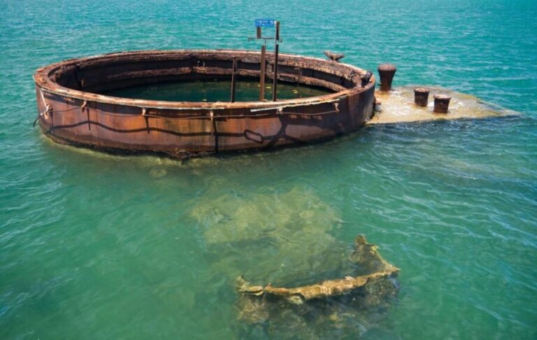 Oahu: Pearl Harbor, USS Arizona, Might Mo, & Honolulu Tour - Final Thoughts: Who Will Love This Tour?