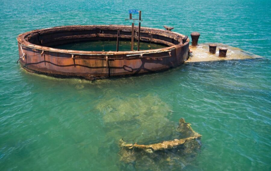 Oahu: Pearl Harbor, USS Arizona, Might Mo, & Honolulu Tour - Final Thoughts: Who Will Love This Tour?