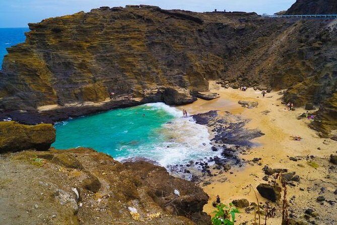 Oahu Polo Game and Private Island Tour from Honolulu - Who Will Love This Tour?