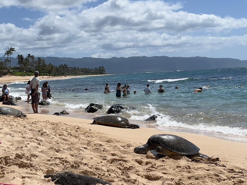 Oahu: Private Tour-Circle Island-Customizable - Authentic Insights From Past Guests