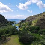 Oahu: Private Tour-North Shore feat. Waimea Falls - Authentic Experiences and Practical Insights