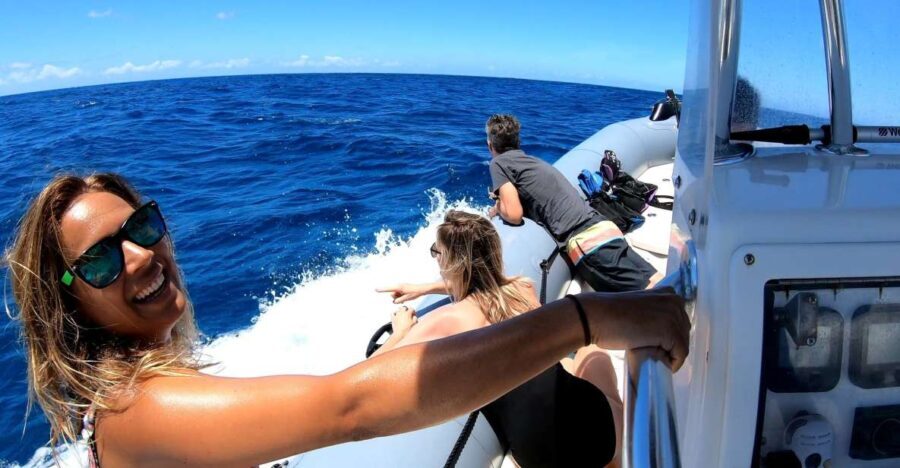 Oahu: Private Whale Watching Adventure - Final Thoughts: Is It Worth It?