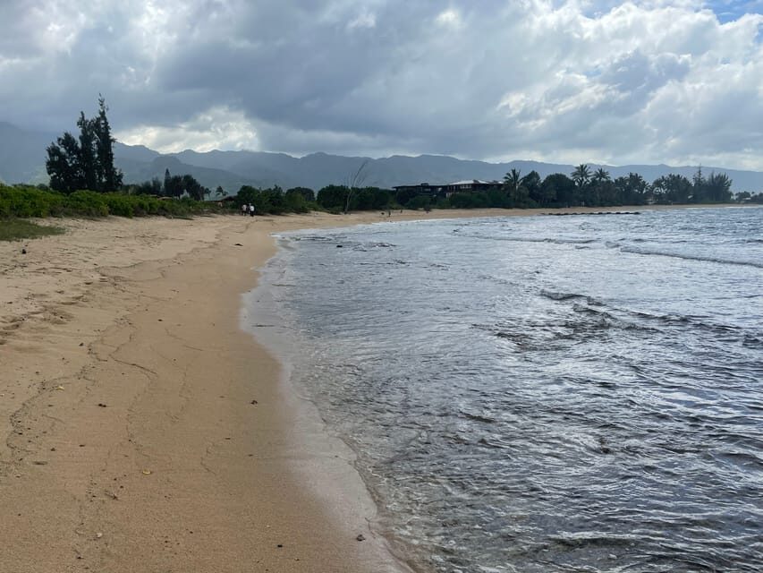 Oahu: Shoreline Restoration Tour w/ Native Plants & Animals - The Value of a Short but Thoughtful Tour
