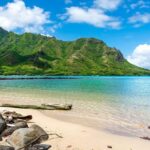 Oahu: Single & Double Kayak 3-Hour River Rental - The Experience from Review Insights
