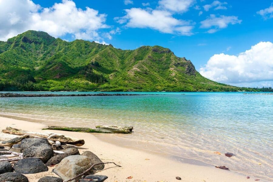 Oahu: Single & Double Kayak 3-Hour River Rental - The Experience from Review Insights