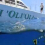Oahu: Snorkeling & Dolphin Watch Cruise with Hawaiian Buffet - The Complete Itinerary Breakdown