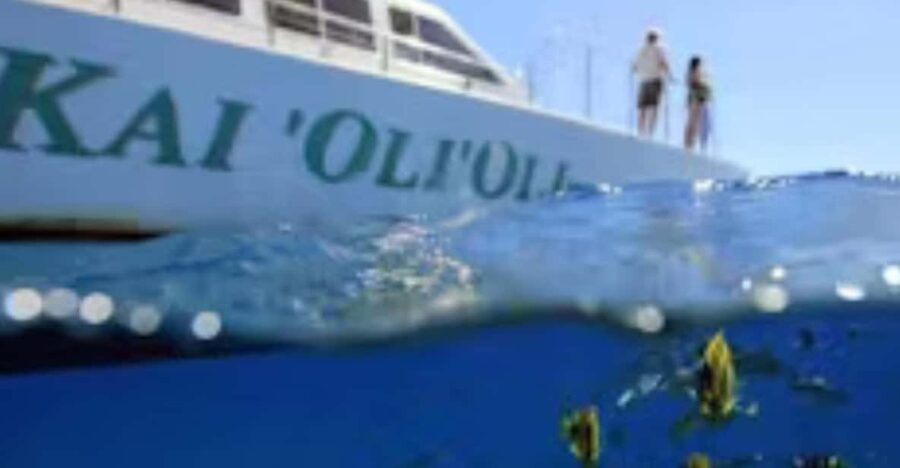 Oahu: Snorkeling & Dolphin Watch Cruise with Hawaiian Buffet - The Complete Itinerary Breakdown